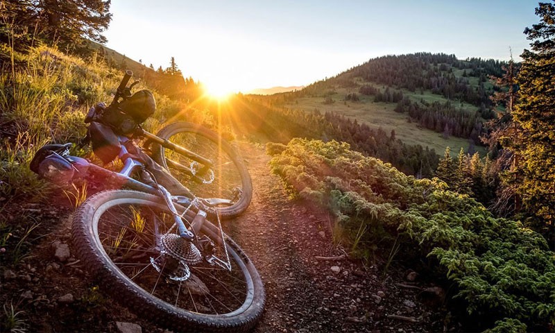 ullam-ut-maiores-maiores