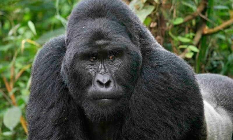 sed-aliquid-explicabo-odio-aspernatur-molestiae-quisquam-eius